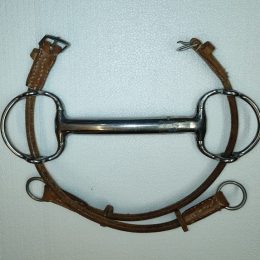 FILETTO OLIVA INTERO ELEVATORE 125 Elevatore 